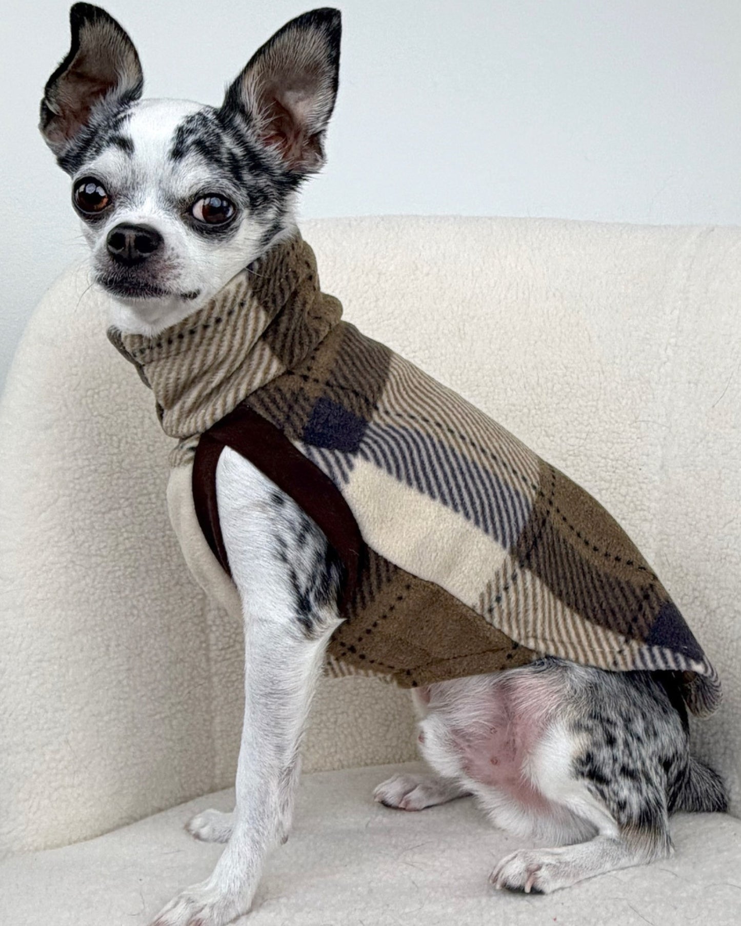 Side profile of dog wearing a tan, brown and navy plaid sweater