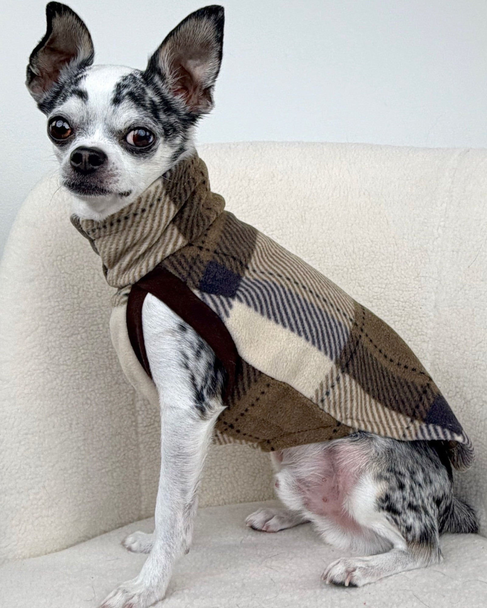 Side profile of dog wearing a tan, brown and navy plaid sweater