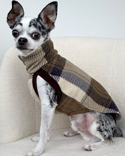 Side profile of dog wearing a tan, brown and navy plaid sweater