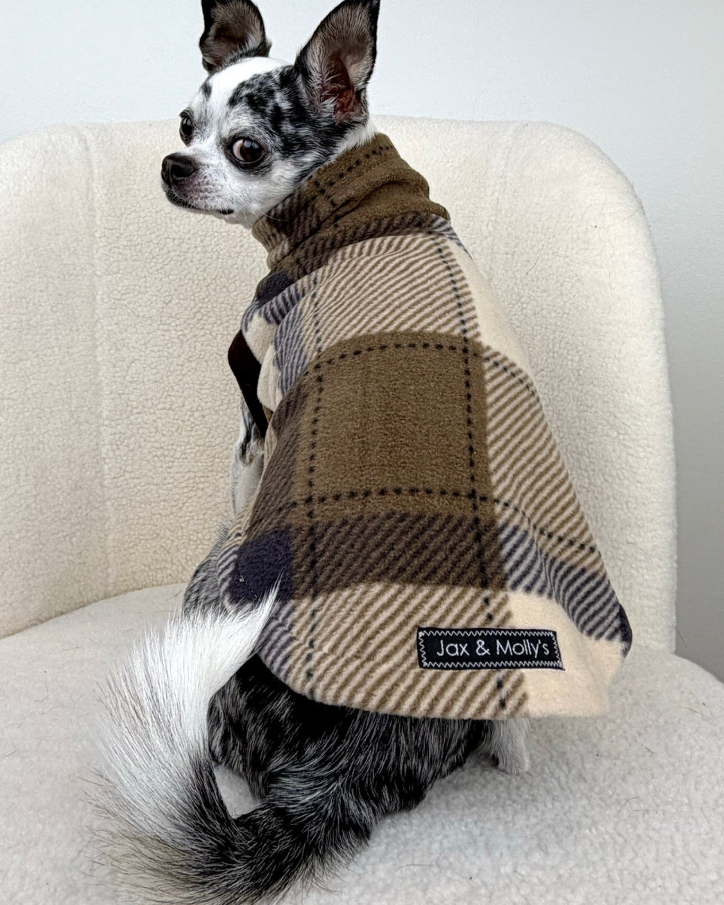 Dog wearing a plaid fleece with 'Jax & Molly's' label