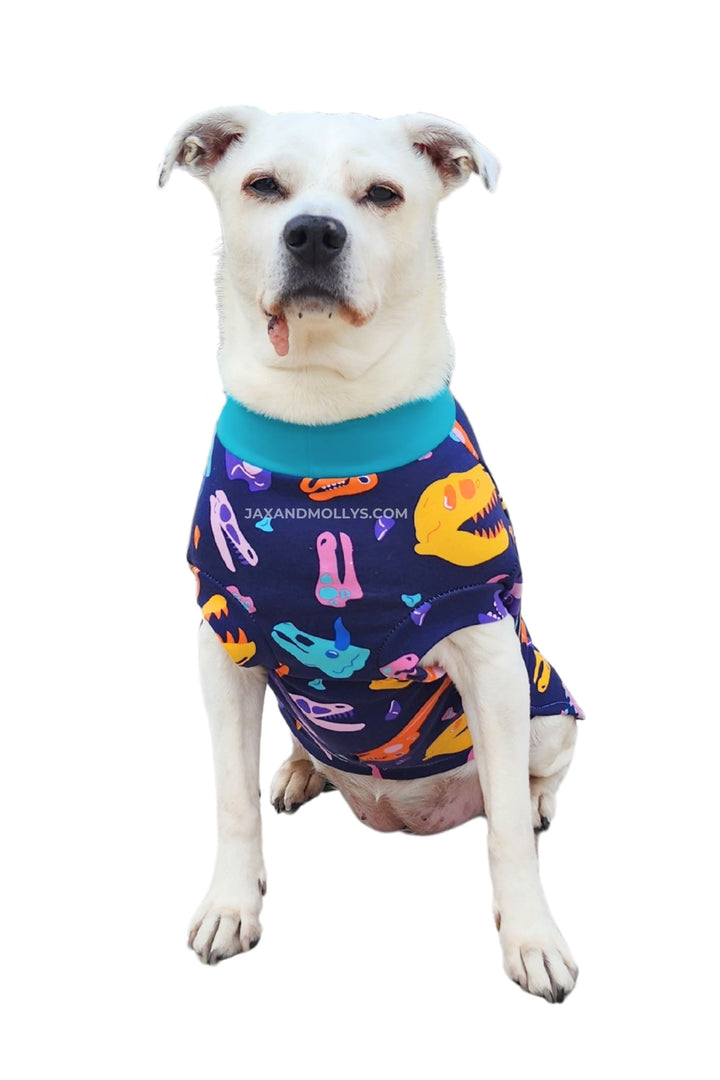 Dog wearing a Jax & Molly's shirt featuring vibrant dinosaur skull print.