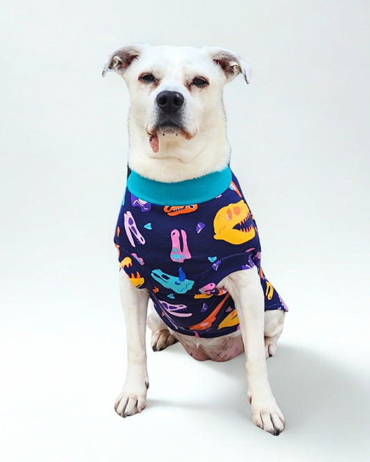 Dog modeling a Jax & Molly's shirt featuring vibrant dinosaur skull print.