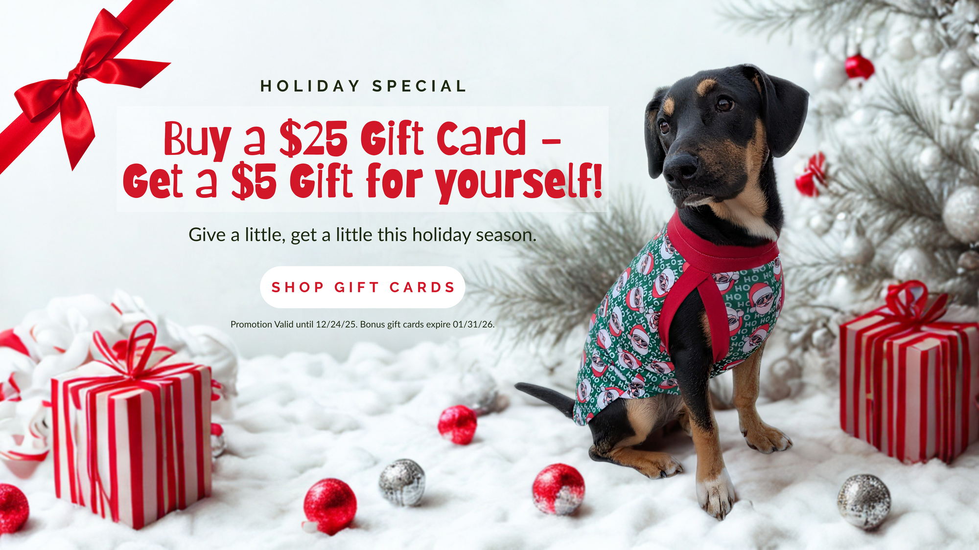 Holiday gift card promotion banner showing a dog in festive Christmas pajamas beside wrapped presents and a decorated tree, with text reading ‘Buy a $25 Gift Card – Get a $5 Gift for yourself! Promotion valid until December 24, 2025.
