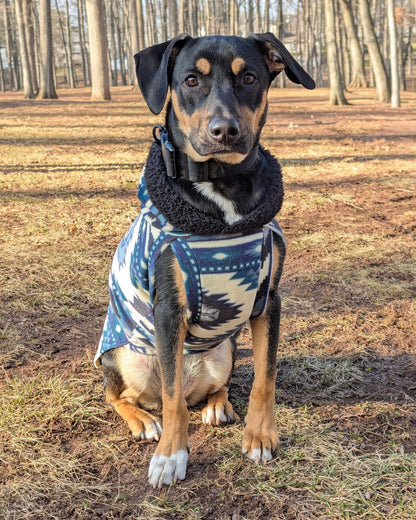 Blue and tan aztec fleece dog sweater with hood on black dog, performing trick
