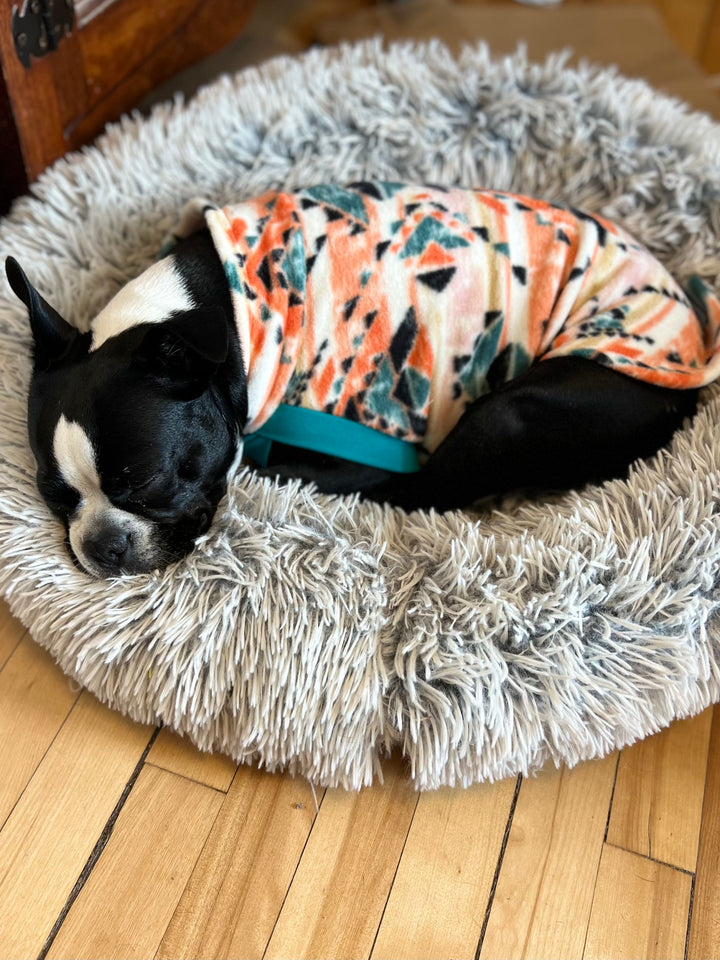 Adorable Boston Terrier sleeping in an orange aztec dog sweater by Jax & Molly's