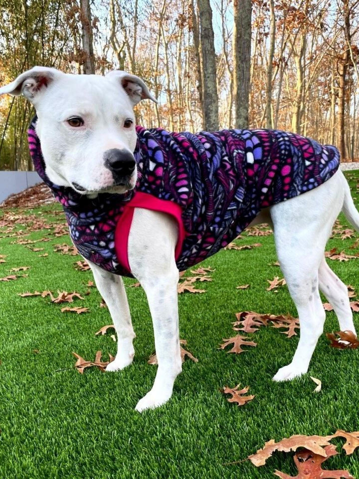 Purple Pink Zen-tangle Dog Sweater