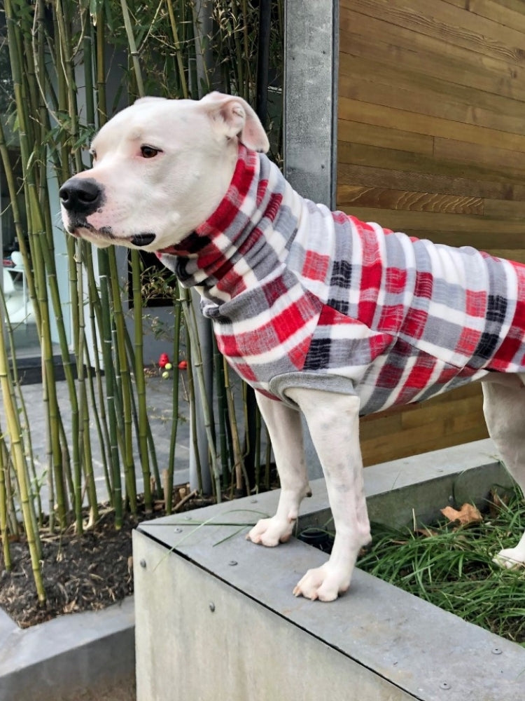 Red plaid sales dog sweater