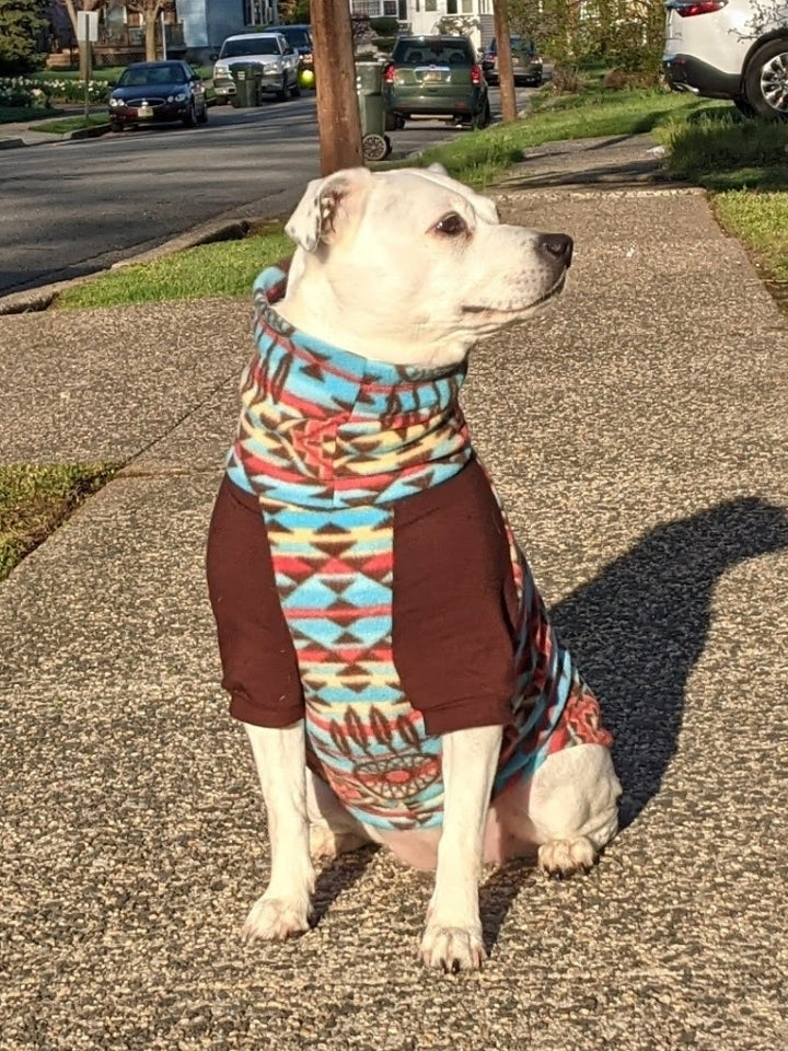 Dreamcatcher Aztec Dog Sweater
