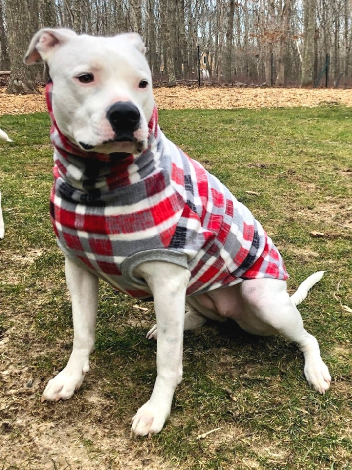 Jax & Molly's Aspen Plaid Dog Sweater