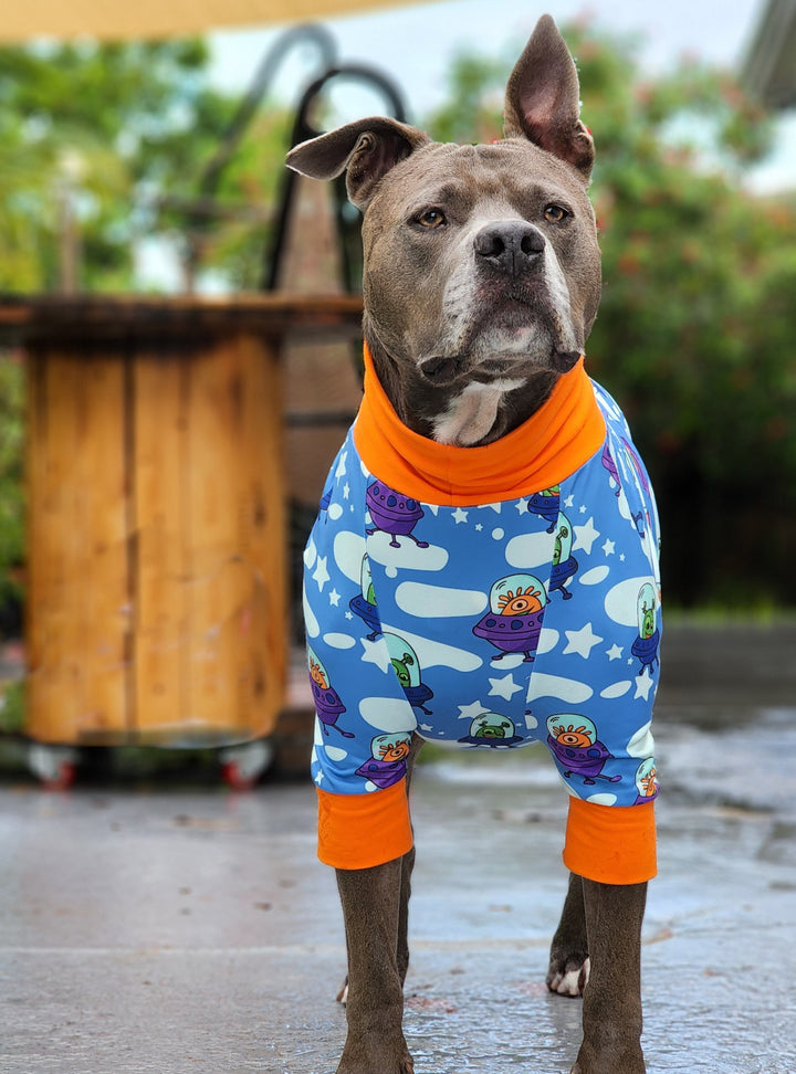 Grey pitbull wearing Jax & Molly's Ufo Dog Pajamas 