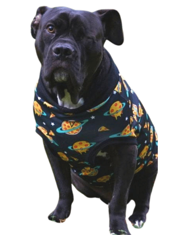 Jax & Molly's Pizza Planet Dog Pajamas