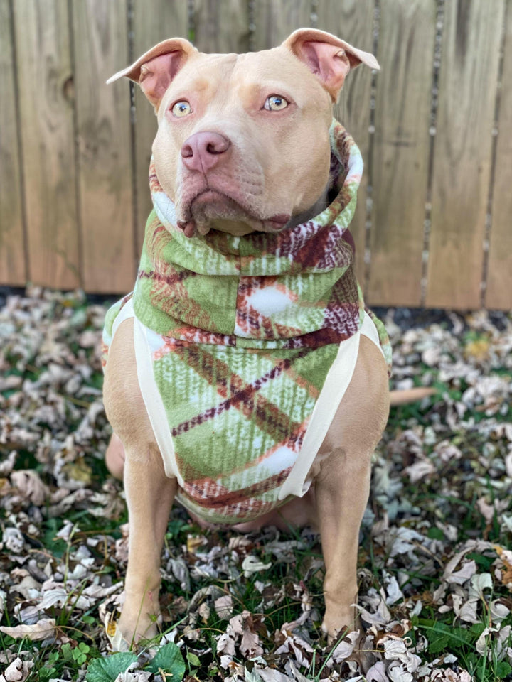 Jax & Molly's Dog Sweater Green Autumn Plaid