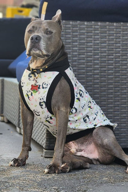 Grey pitbull wearing Jax & Molly's white panda dog pajama shirt