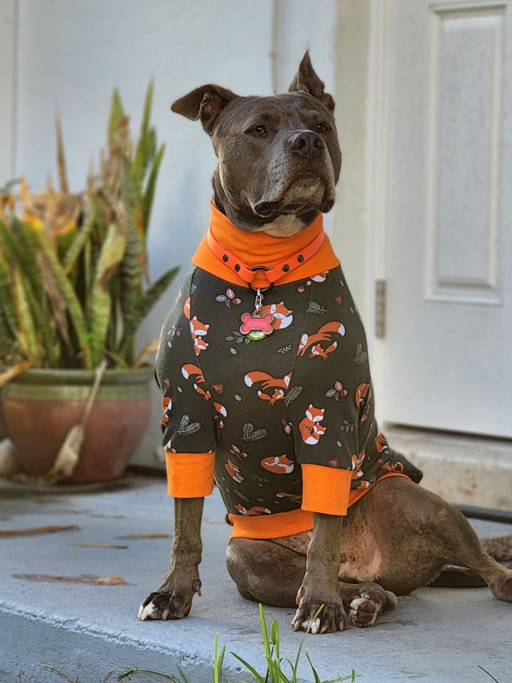 Grey pitbull wearing Jax & Molly's dog pajamas with a fox print