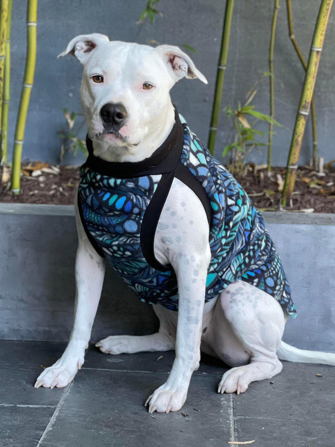 Jax & Molly's Blue Zentangle Dog Sweater Fleece