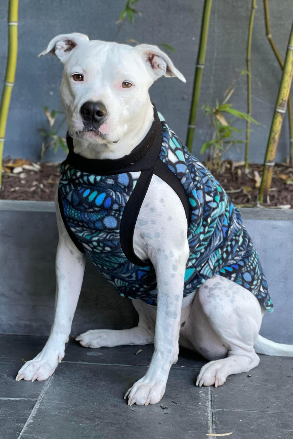 Jax & Molly's Blue Zentangle Dog Sweater Fleece