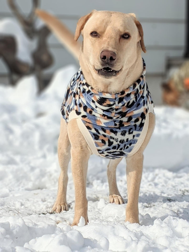 Jax & Molly's Dog Sweater Blue Cheetah Print