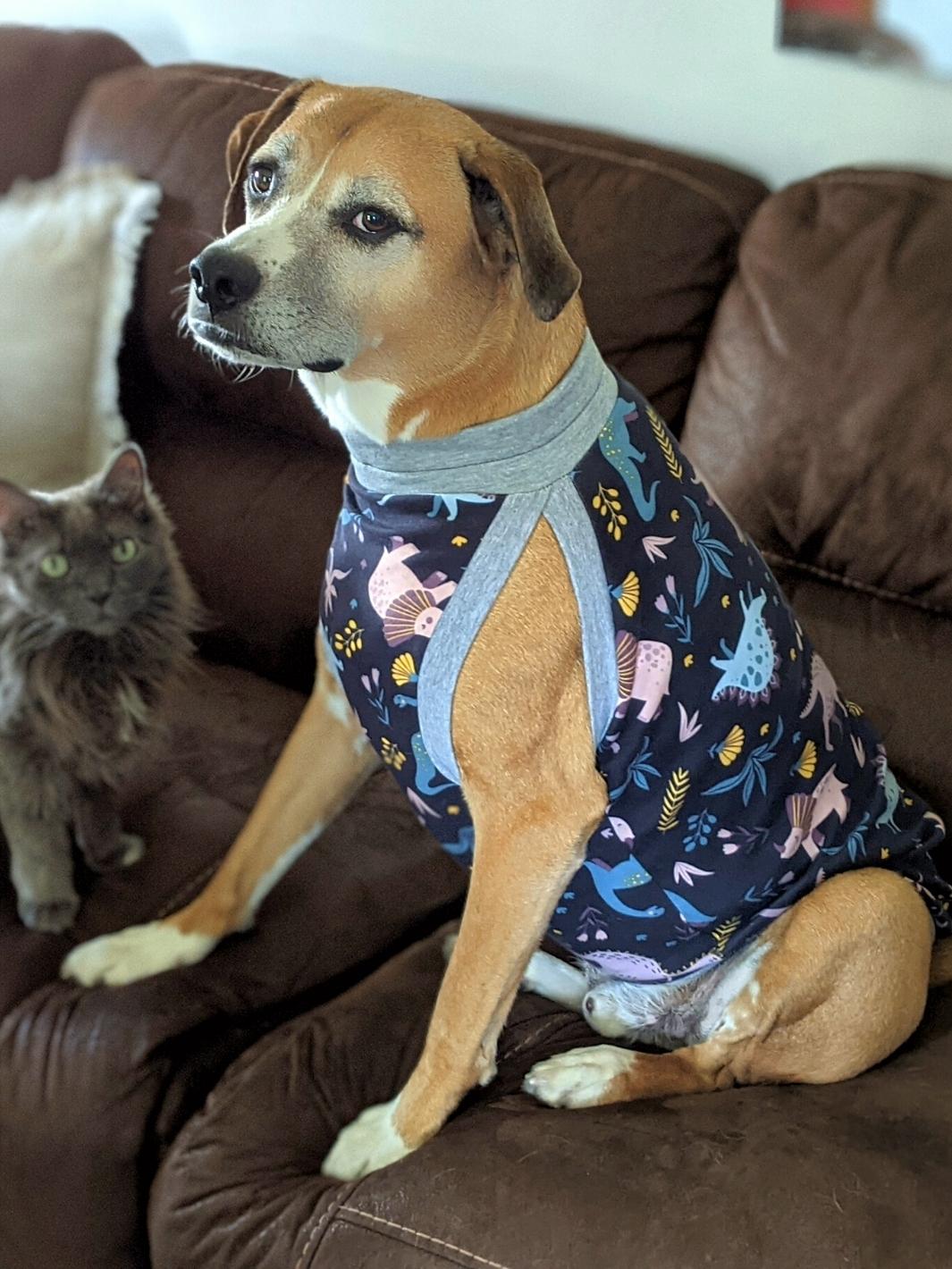 Jax & Molly's Dinosaur Dog Pajamas