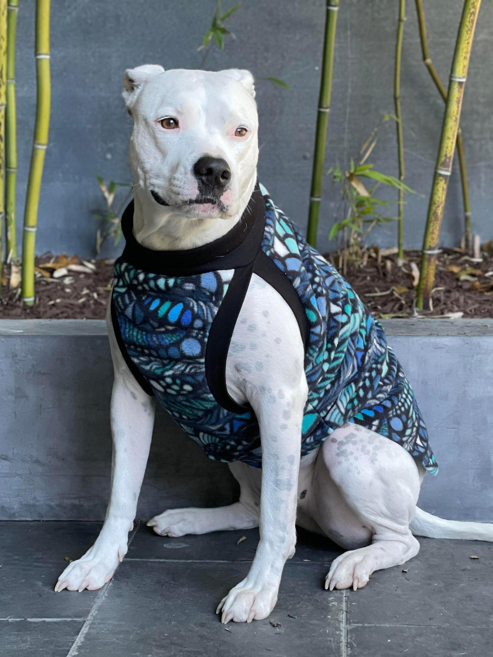 Jax & Molly's Blue Zentangle Dog Sweater Fleece