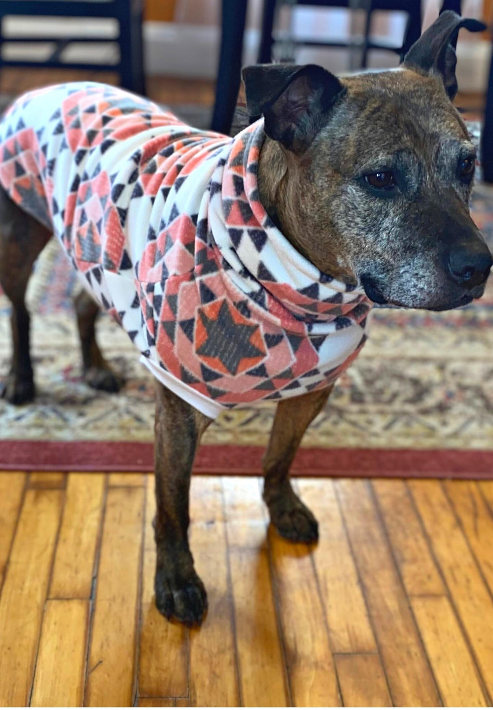 Pitbull wearing a Jax & Molly's pink aztec print fleece dog sweater