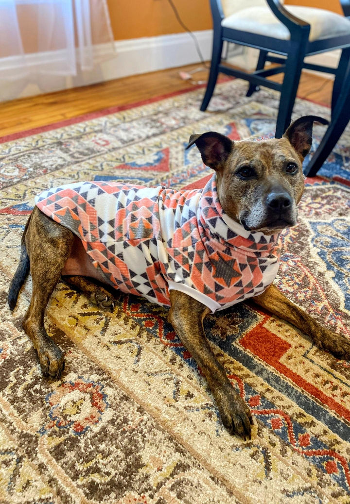 Pitbull wearing a Jax & Molly's pink aztec print fleece dog sweater