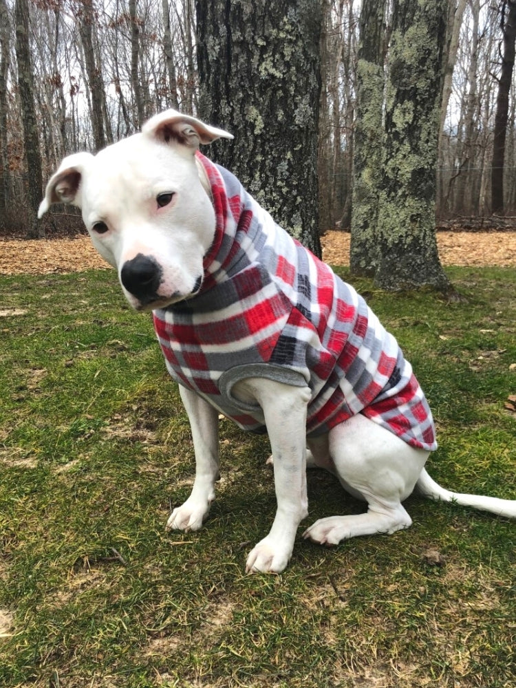 Jax & Molly's Aspen Plaid Dog Sweater