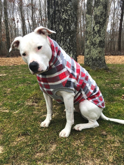 Jax & Molly's Aspen Plaid Dog Sweater