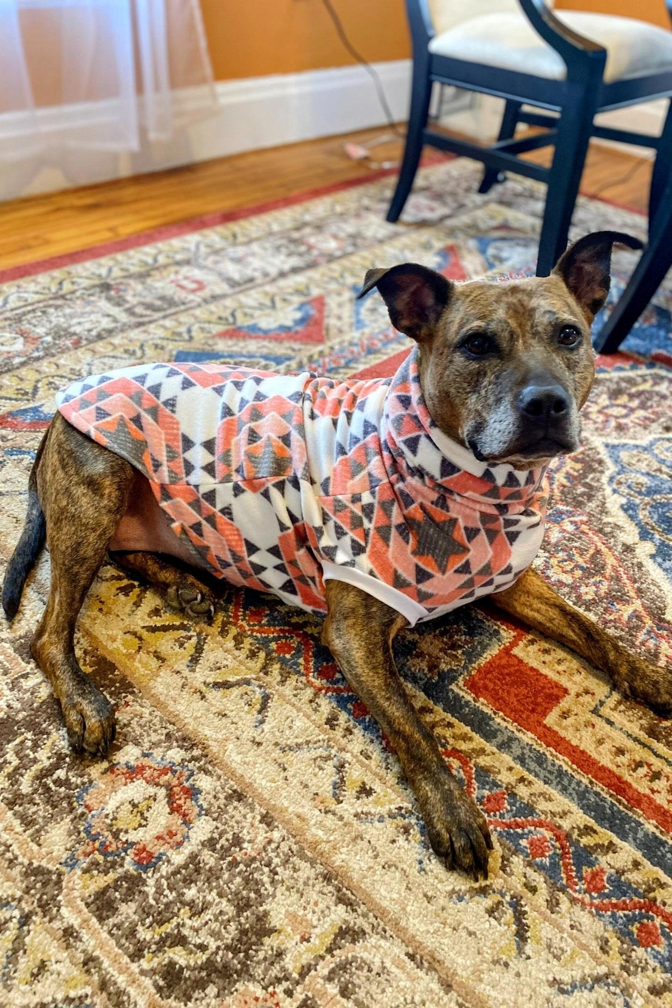 Pitbull wearing a Jax & Molly's pink aztec print fleece dog sweater