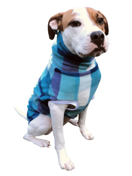 Dog modeling a Jax & Molly's dog sweater with a stylish turtleneck, highlighted by a blue plaid design and white sleeve accents.