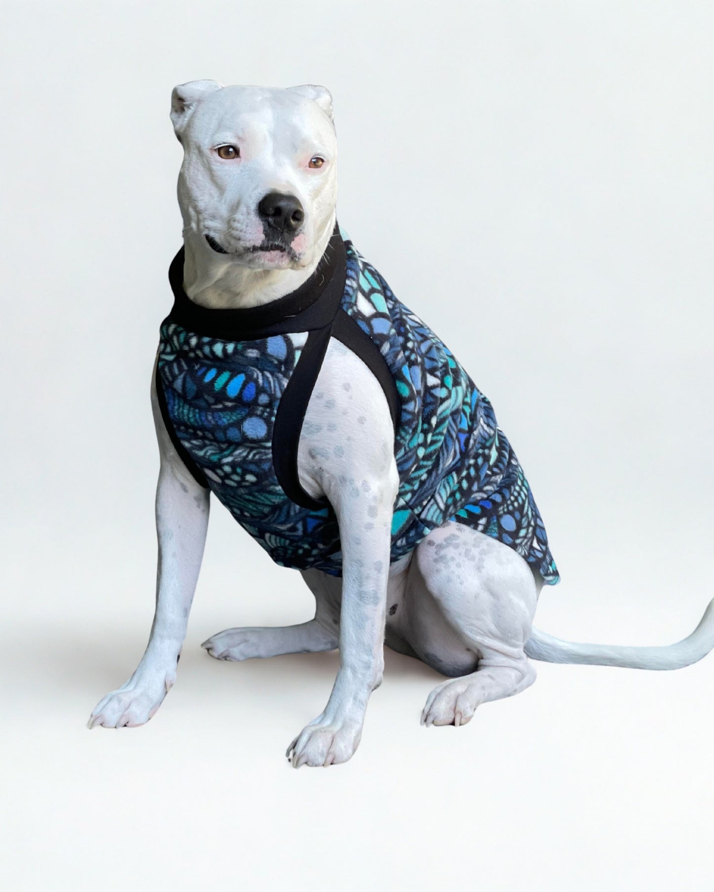 Jax & Molly's Blue Zentangle Dog Sweater Fleece