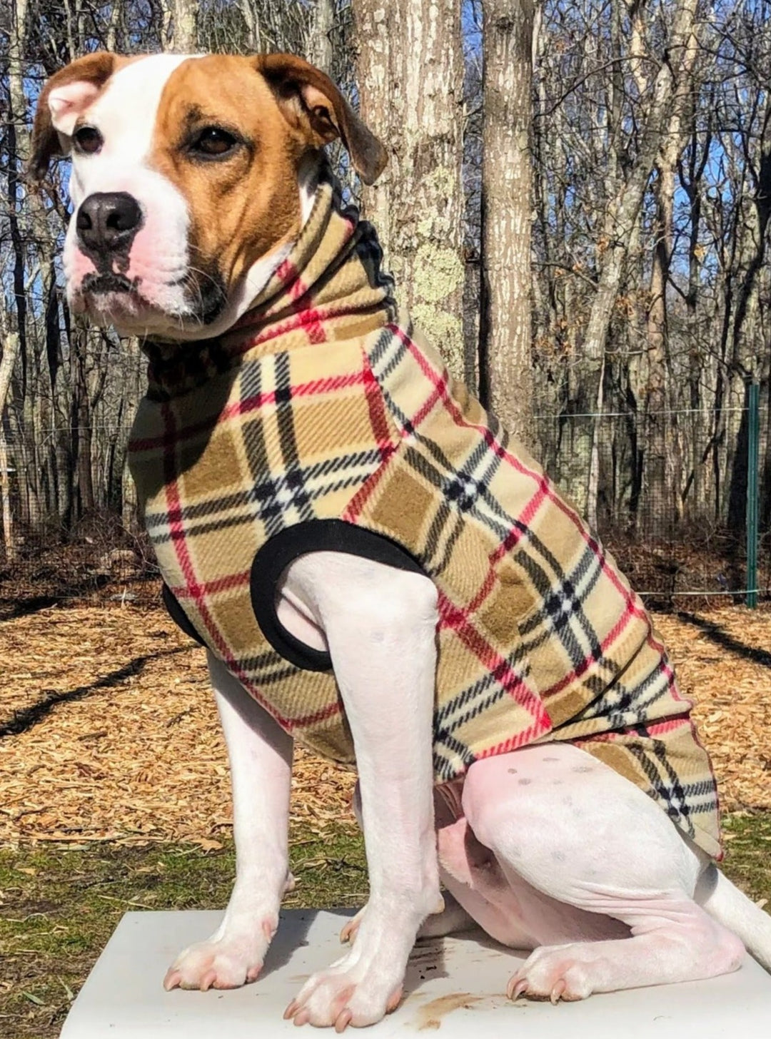 Jax & Molly's Camel Plaid Dog Sweater Pullover