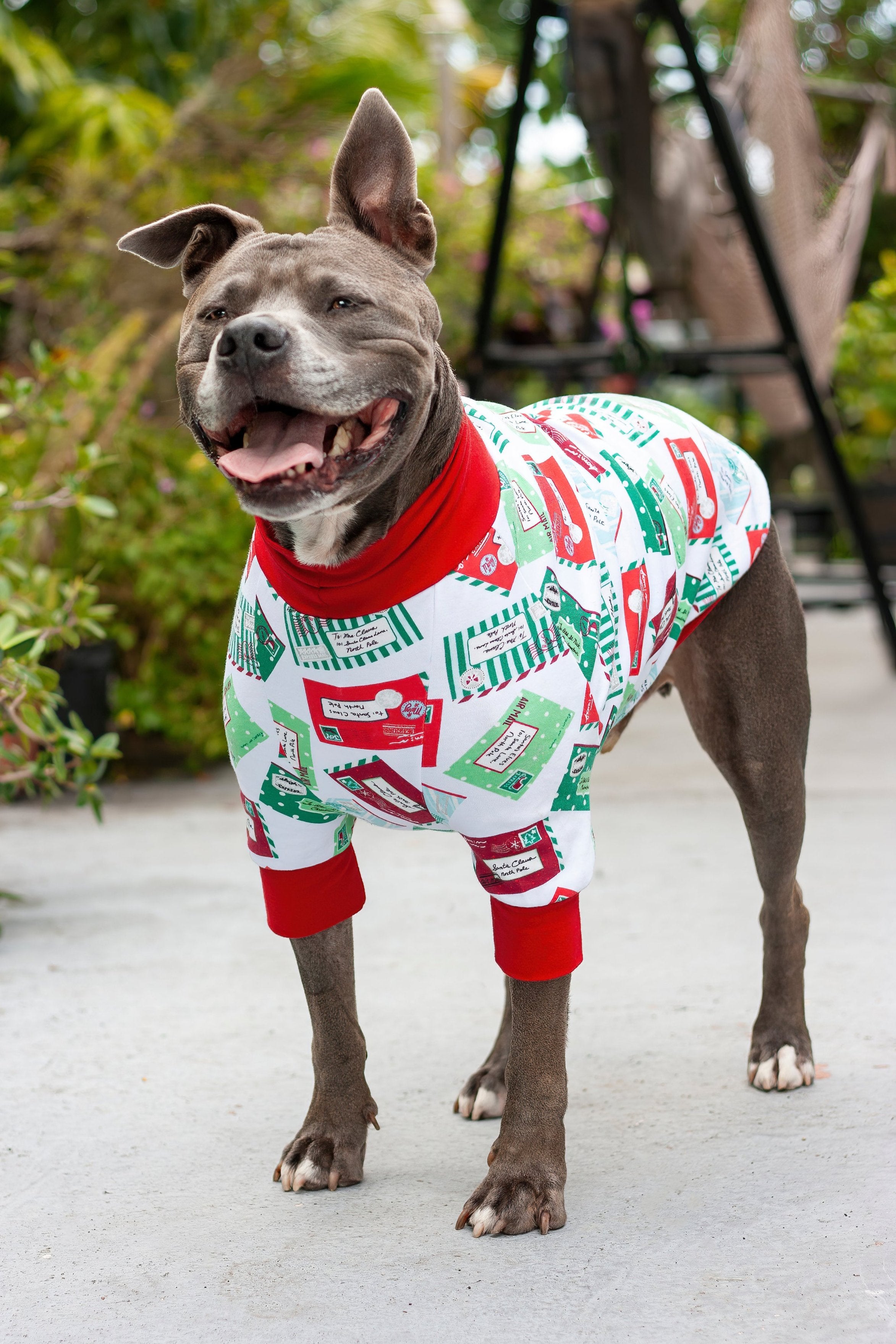 Christmas Letters to Santa Dog Pajamas Handcrafted by Jax Molly s