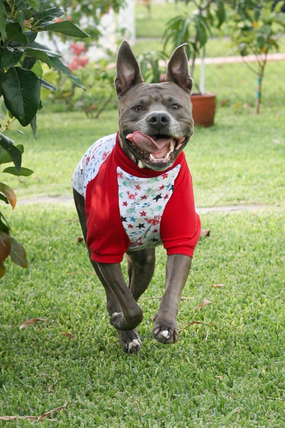 A joyful pitbull dashes around, grinning ear to ear, clad in Jax & Molly's vibrant red and white pajamas decorated with charming sea creatures and complemented by red sleeves.