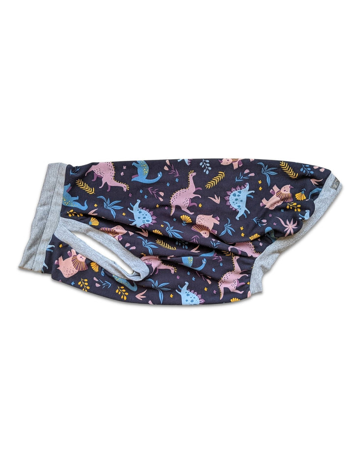 Jax & Molly's Dinosaur Dog Pajamas
