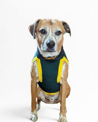 Dog Sports Jersey - Green Body, White Mesh Sides, Yellow & Green Trim