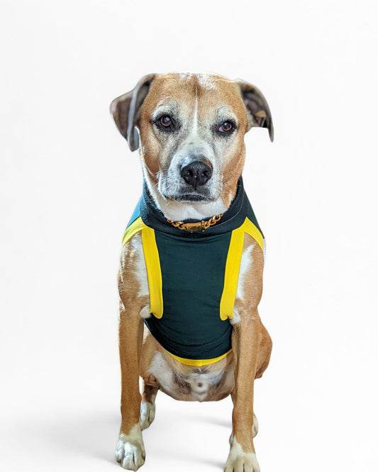 Dog Sports Jersey - Green Body, White Mesh Sides, Yellow & Green Trim