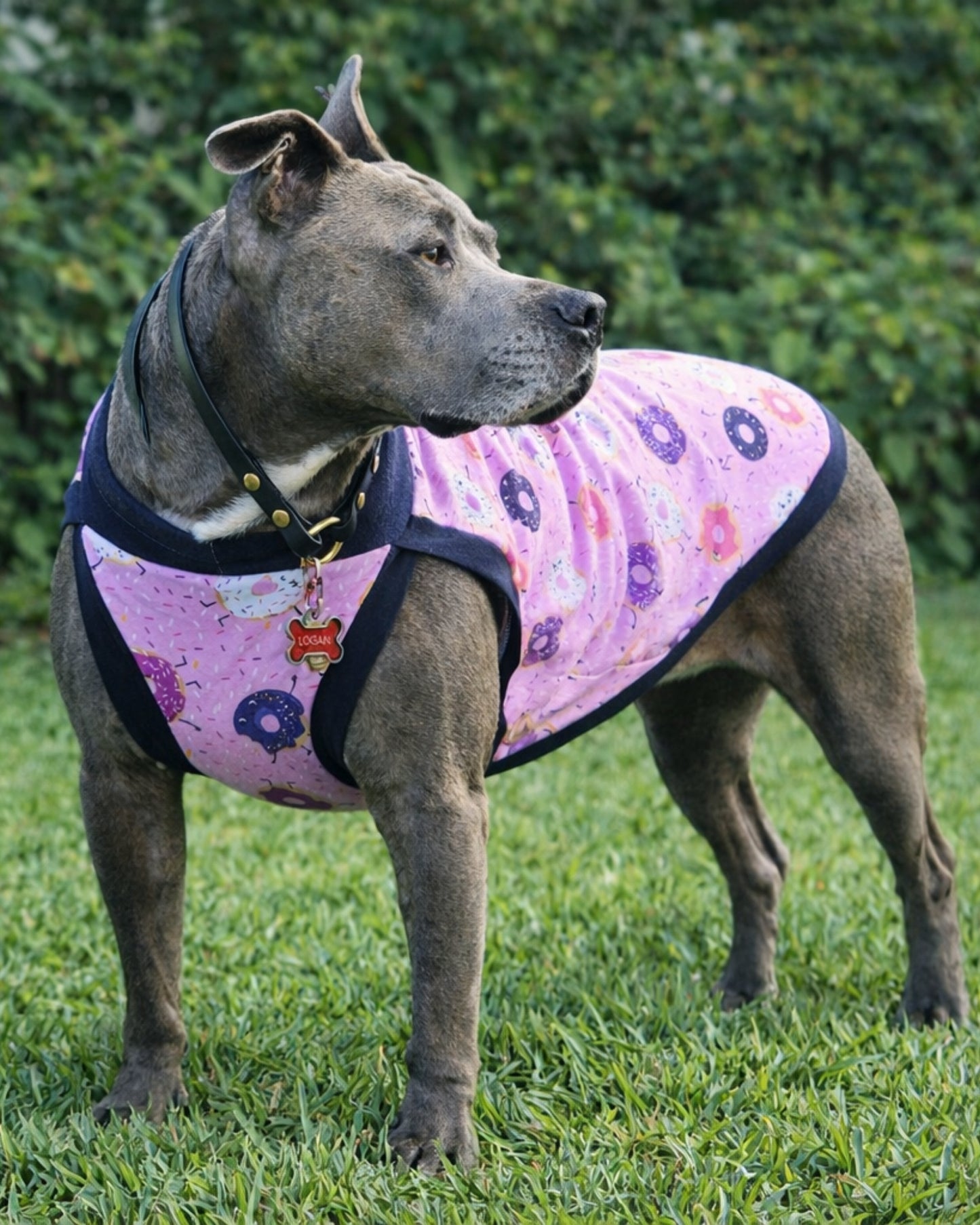 Side view of dog wearing donut print dog pajamas with comfortable stretch fit