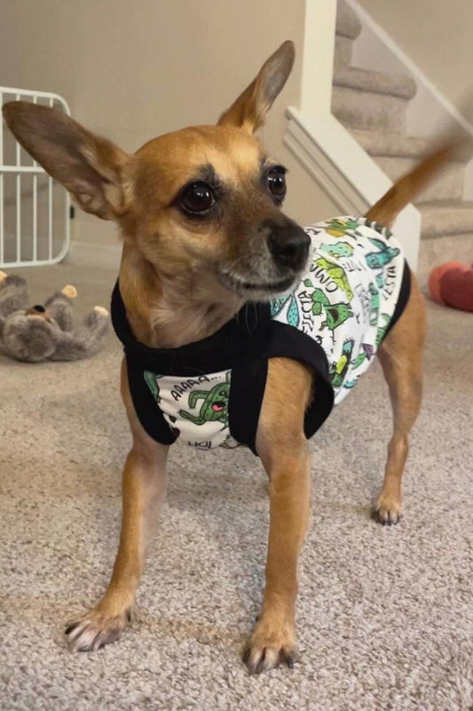 Chihuahua modeling Jax & Molly's dog pajamas with a cactus print.