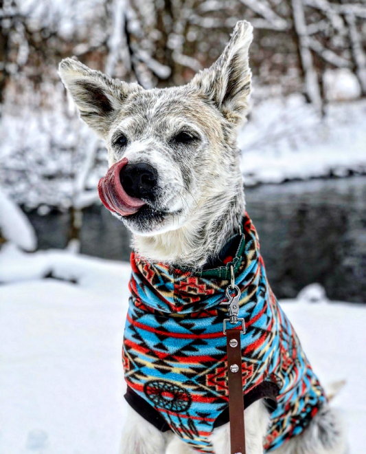Dog wearing a blue and red dreamcatcher Aztec print fleece dog sweater pictured in front of an icy lake