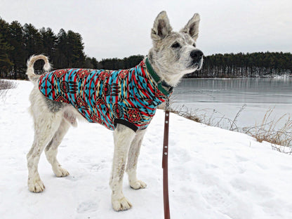 Dog wearing 'Jax & Molly's' blue and red dreamcatcher Aztec print fleece dog sweater and pictured in front of an icy lake