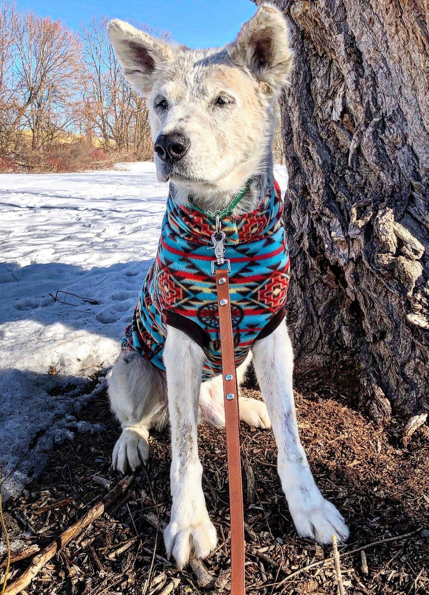Dog wearing a blue and red dreamcatcher Aztec print fleece dog sweater - pictured in front of a tree