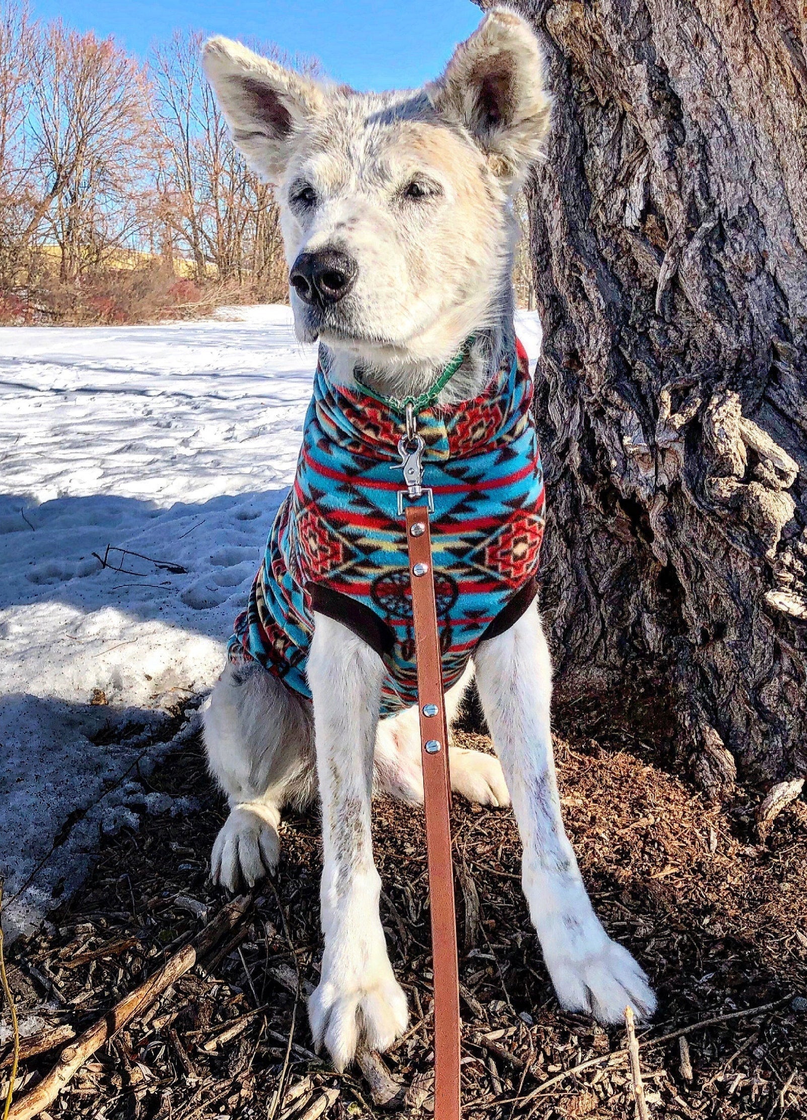 Dog wearing a blue and red dreamcatcher Aztec print fleece dog sweater - pictured in front of a tree