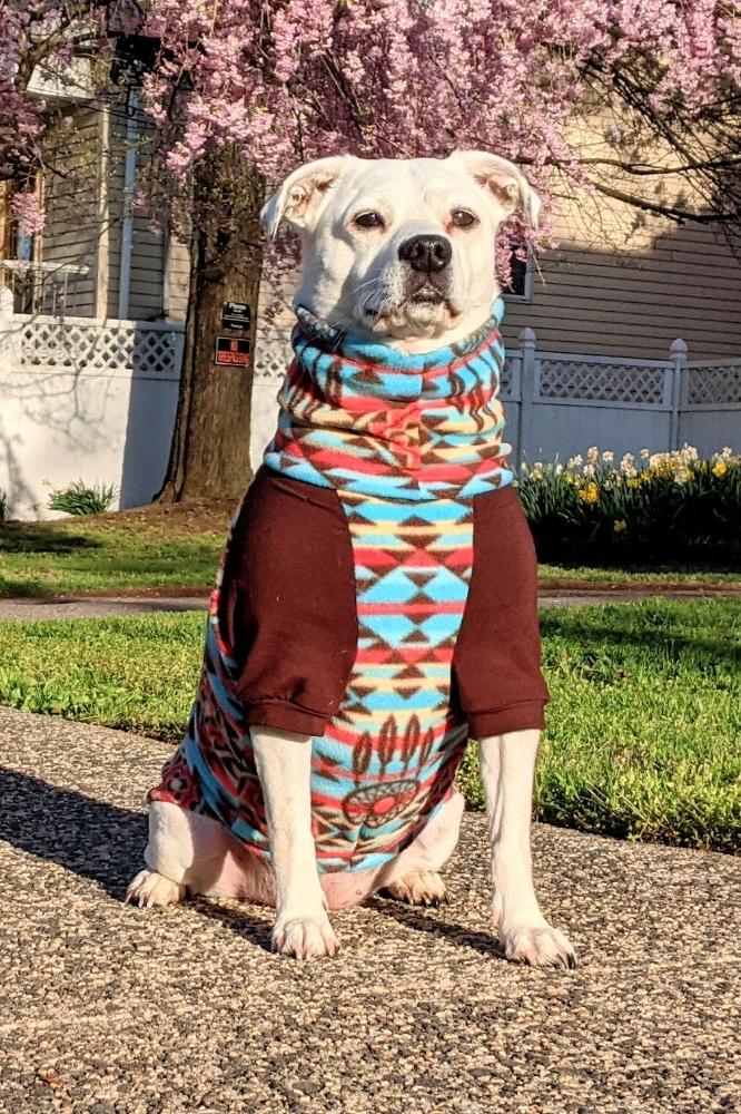 Cozy Hybrid Dreamcatcher Aztec Dog Sweater - Soft & Lightweight Fleece ...