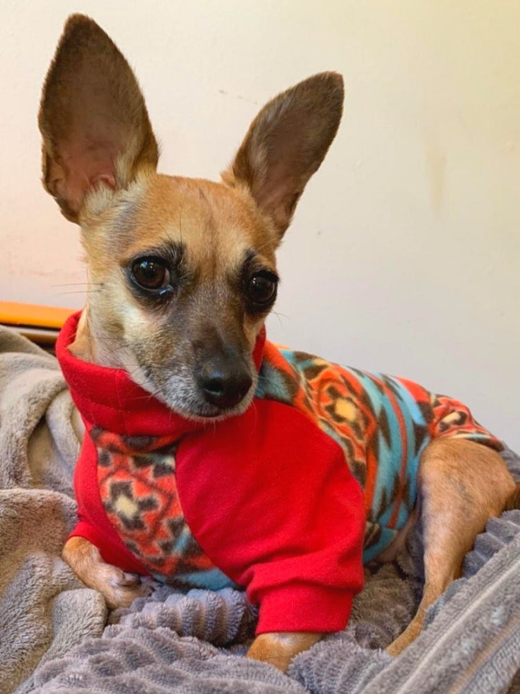 Dreamcatcher Aztec Dog Sweater - Made to Order