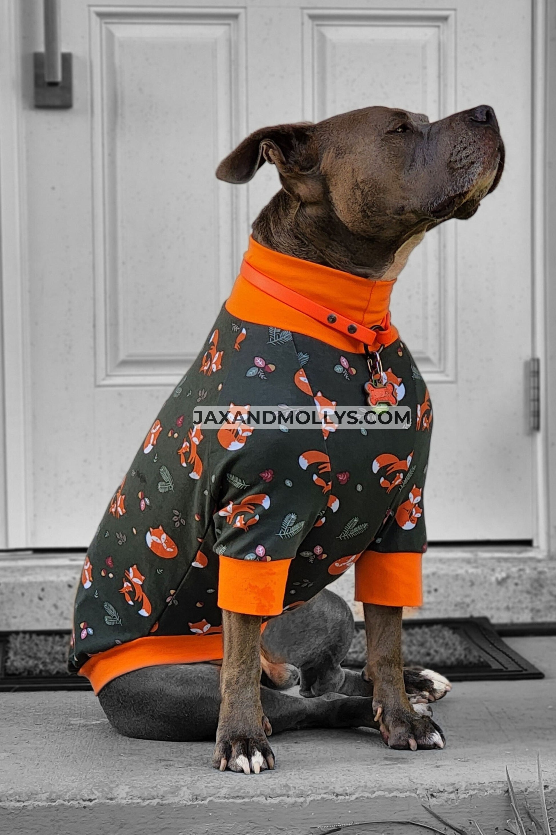 Dog wearing long sleeve pajamas with cute fox print