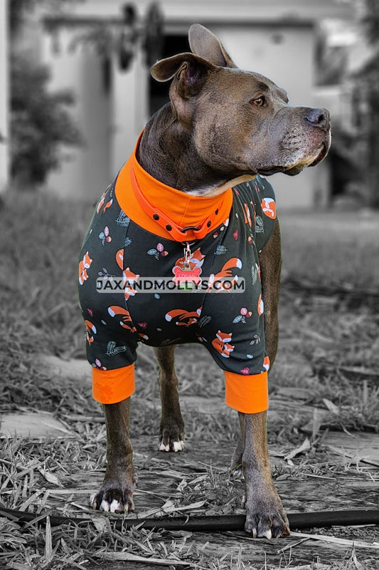 Grey pitbull wearing dog pajamas with a fox print