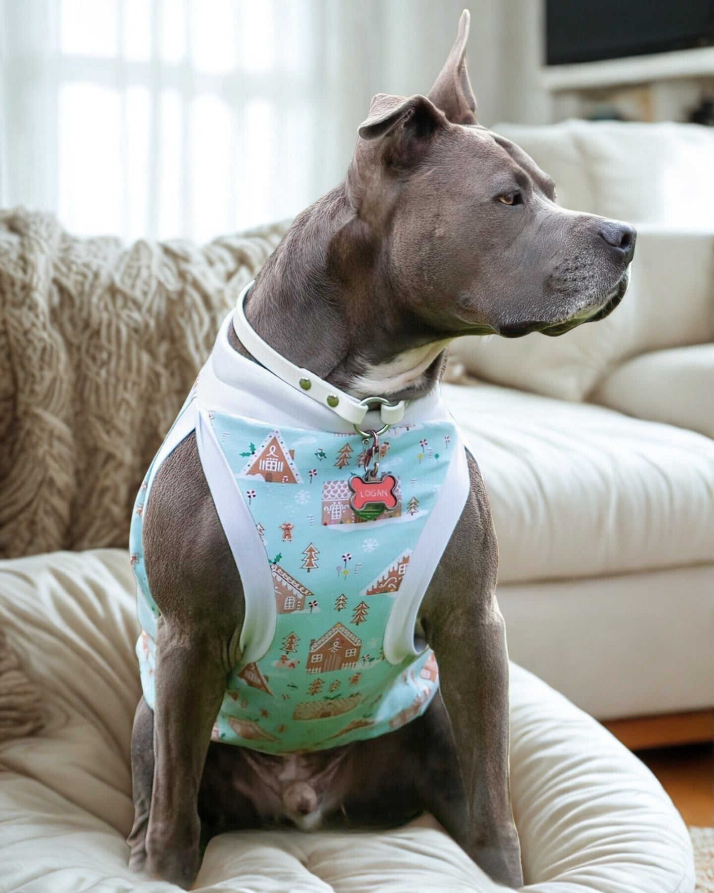 Jax & Molly's Gingerbread Village dog pajamas