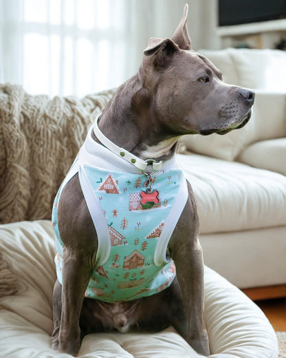 Jax & Molly's Gingerbread Village dog pajamas