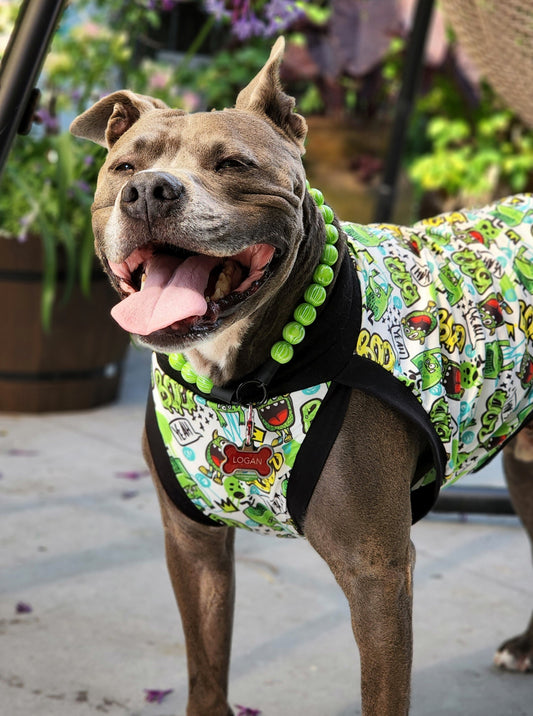 A pitbull wearing Jax & Molly's dog pajamas with green goblins print in a graffiti style
