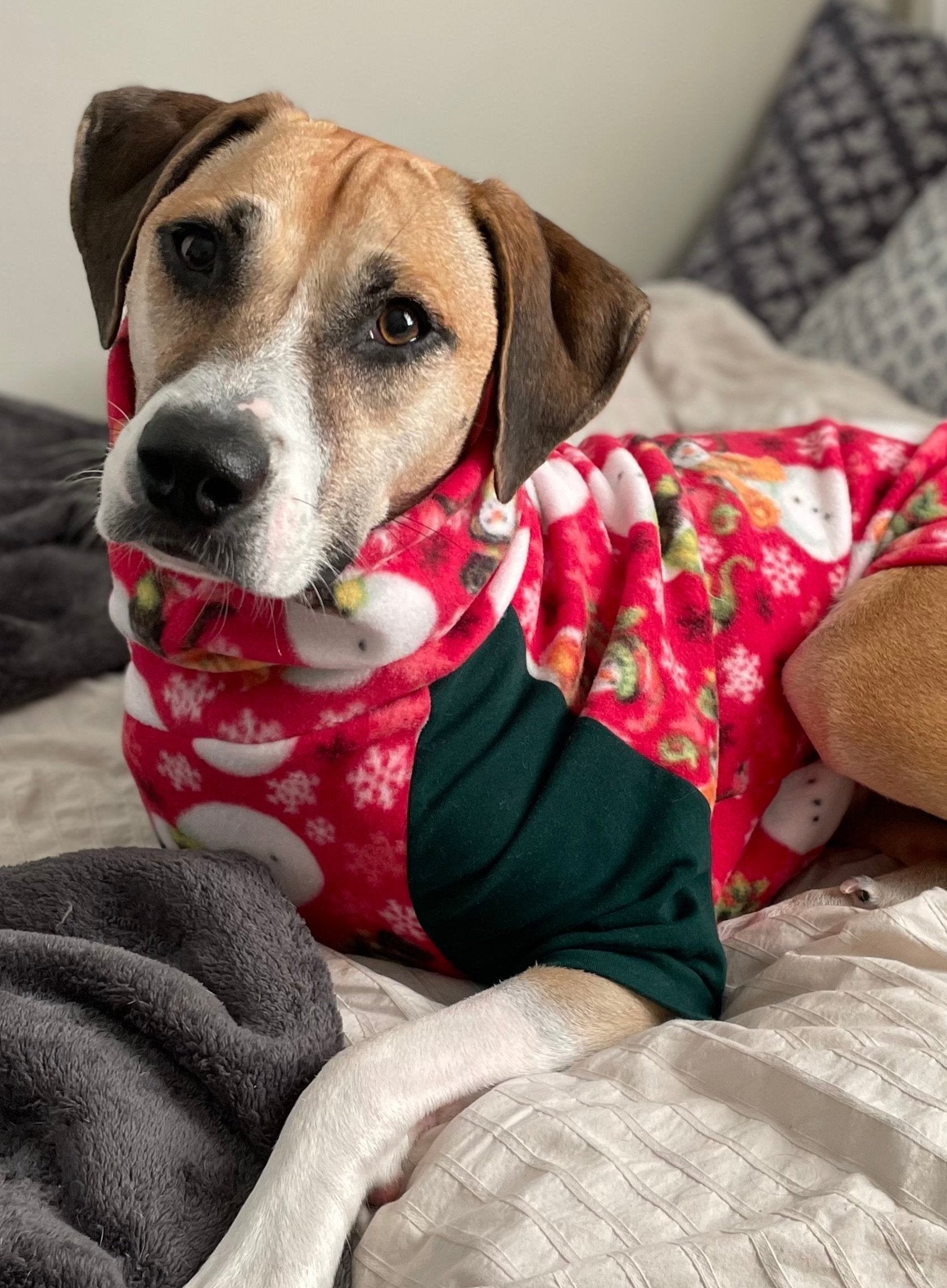 Dog laying on a bed wearing a red raglan sweater with green sleeves and a snowman print with snowflake accents. 